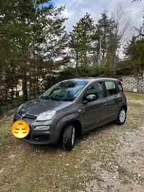 Panda Hybrid