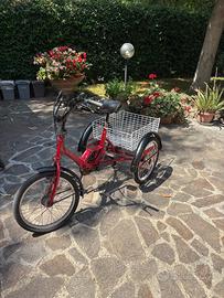 Triciclo a 3 ruote per adulti