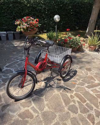 Triciclo a 3 ruote per adulti