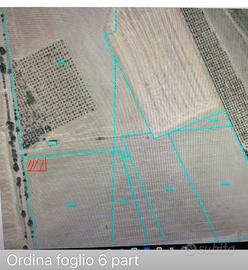 Vendita terreno agricolo
