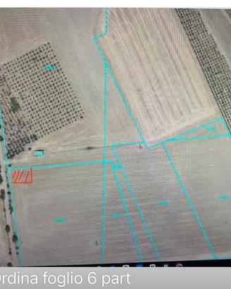 Vendita terreno agricolo