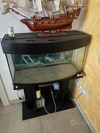 Acquario 80 litri