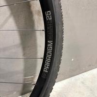 coppia ruote Bontrager Paradigm Comp 25 TLR Disc