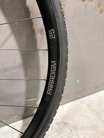 coppia ruote Bontrager Paradigm Comp 25 TLR Disc