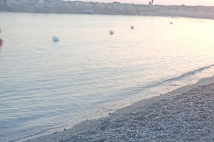 Disponibile mesi estivi, agosto 1 e 4 settimana