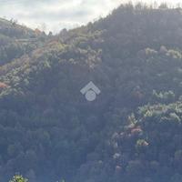 TER. AGRICOLO A FALCONARA ALBANESE