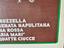 Immagine 5