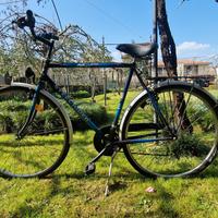 Citybike  "Steel Rider"