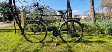 Citybike  "Steel Rider"