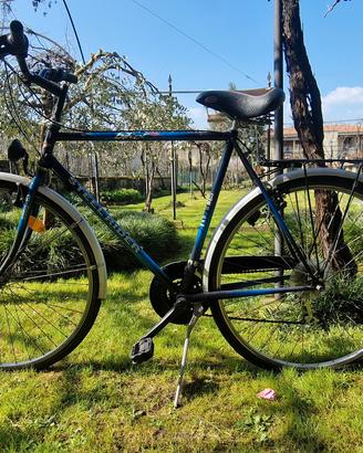 Citybike  "Steel Rider"