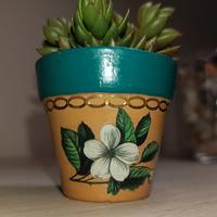 Vasetto in terracotta decorato a mano + talea