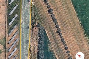 Terreno con ulivi Recanati