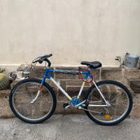 Bici mtb