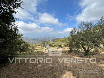 Terreno di 15903 m² a Laureana Cilento