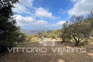 Terreno di 15903 m² a Laureana Cilento