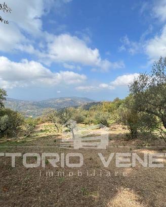 Terreno di 15903 m² a Laureana Cilento