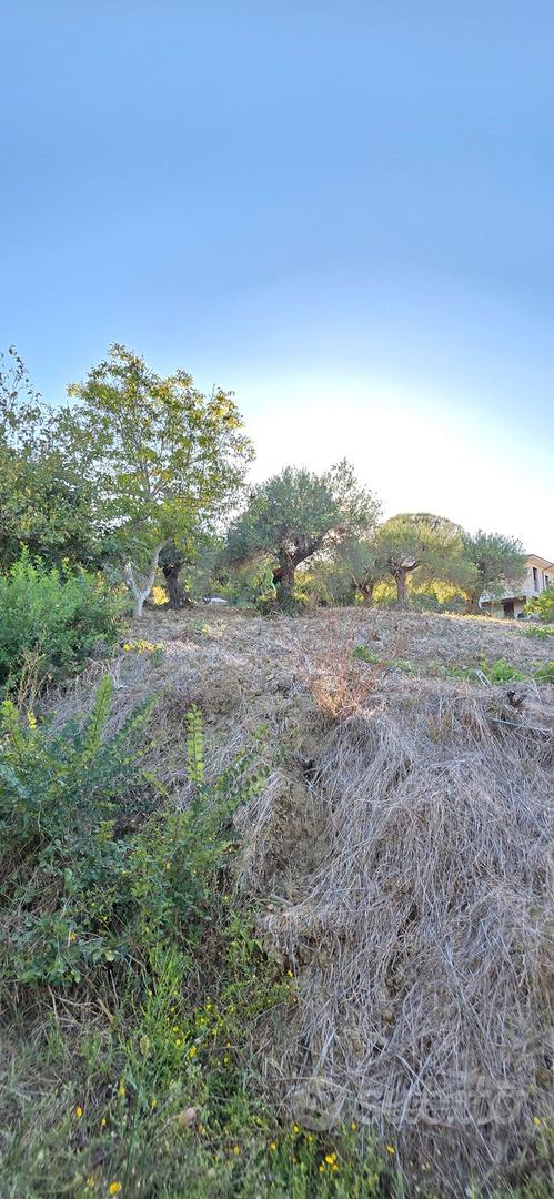 Terreno Agricolo Agropoli-Marrota - Vista 5