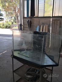 acquario