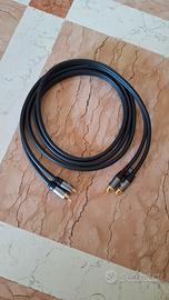 Cavo RCA da 2 M a 2 M