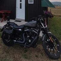 Harley Davidson 883 sportster