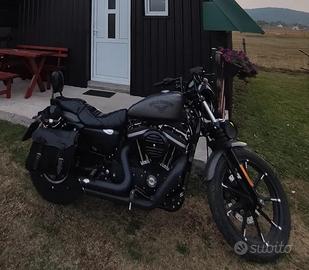 Harley Davidson 883 sportster