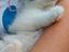 Immagine 3