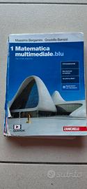 1 matematica multimediale blu seconda edizione