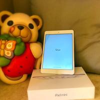 Apple Ipad Mini 32Gb - A1489 - Grigio Siderale