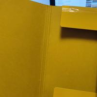 Cartelline portadocumenti 25x35 A4 - 10 pezzi