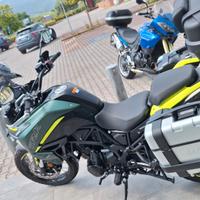 Tris borse laterali e bauletto Benelli trk702x