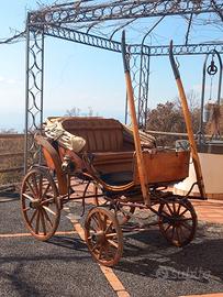 Carrozza singolo/pariglia Dottorina