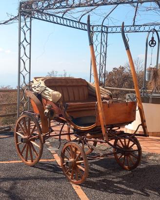 Carrozza singolo/pariglia Dottorina
