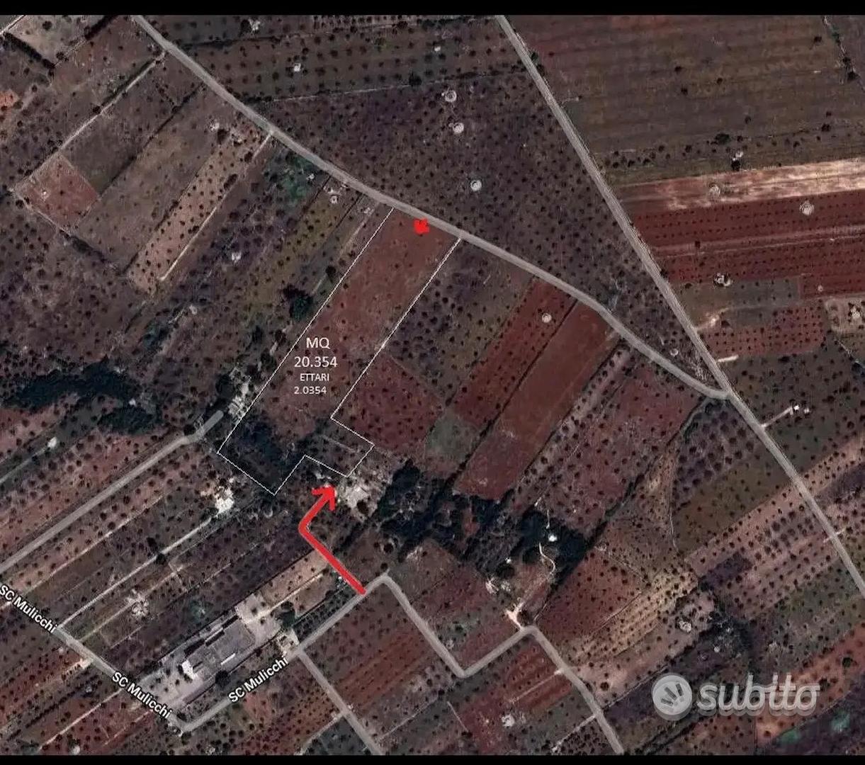 Terreno agricolo con progetto - Vista 4