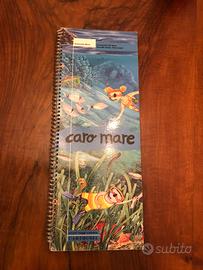 libro caro mare