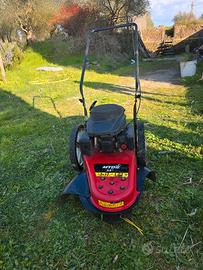 Decespugliatore a ruote