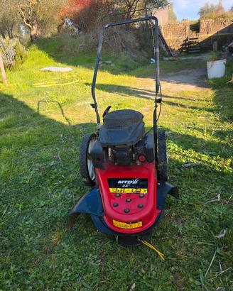 Decespugliatore a ruote