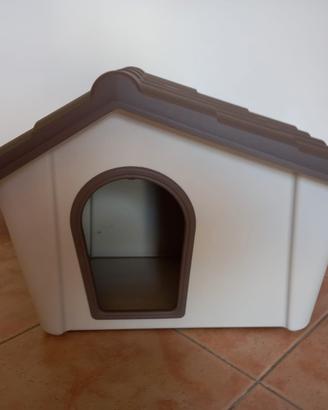 cuccia cane