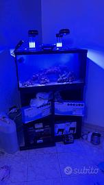 Acquario marino completo di accessori