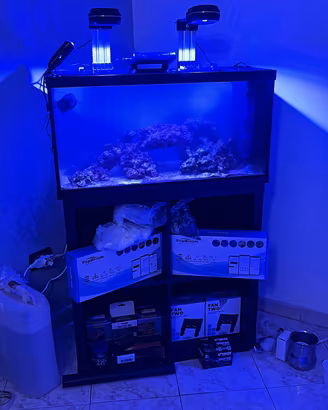 Acquario marino completo di accessori