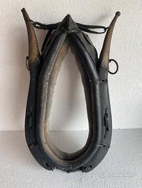 Collane per cavalli e pony