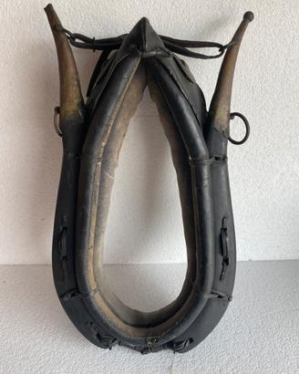 Collane per cavalli e pony