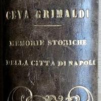 Memorie storiche della città di Napoli