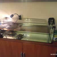 Tartarughiera+pompa e filtro