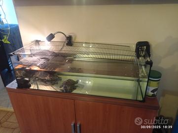 Tartarughiera+pompa e filtro