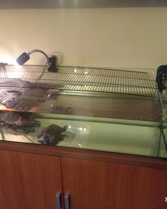 Tartarughiera+pompa e filtro