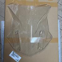 Cupolino Bmw R1200 R1250