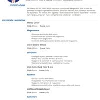 Facchino, Lavapiatti ,Magazziniere