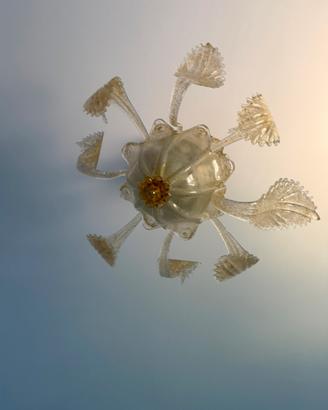 Lampadario in vetro