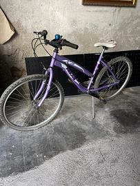 bicicletta mountain bike