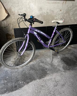 bicicletta mountain bike